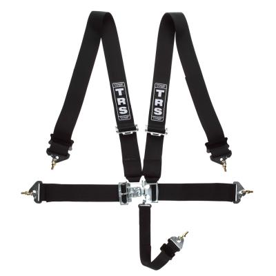 TRS Nascar 5 Point Harness voor Stock Car Oval Racing